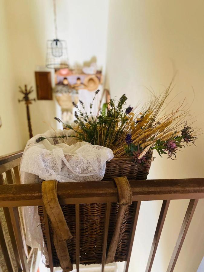 Anticacascina Bed & Breakfast Quarto  Eksteriør bilde